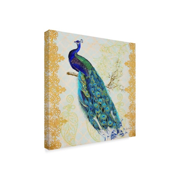 Jean Plout 'Beautiful Peacock' Canvas Art,35x35